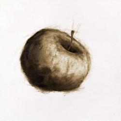 Fruit sketch.
