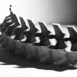 Model, python spine.