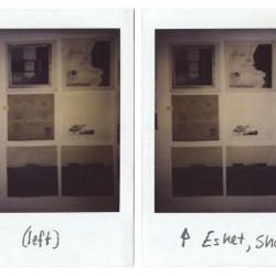 Installation polaroids with overlap at center.