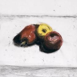 Color drawing of fruit .
