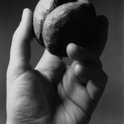 A wood fruit in hand.
