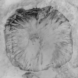 Crater Study