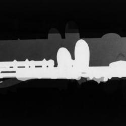 Flute X-ray.